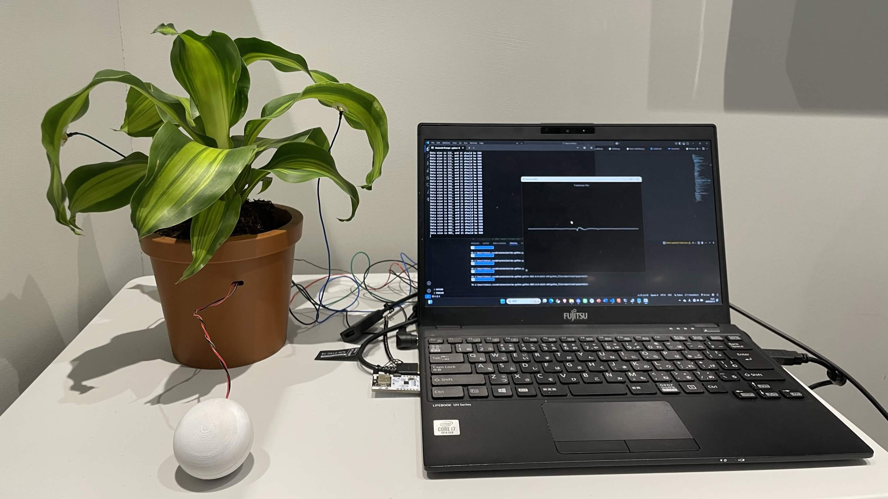Haptic Interface
